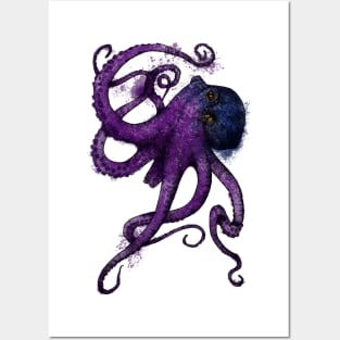 Octopus Posters and Art